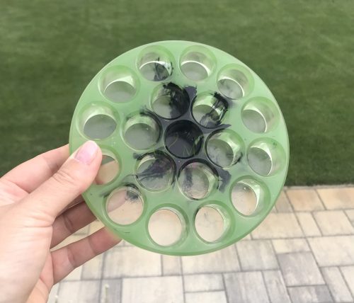  Essential oil holder - for 10 ml bottles (green-black)