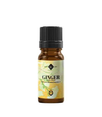Ginger essential oil